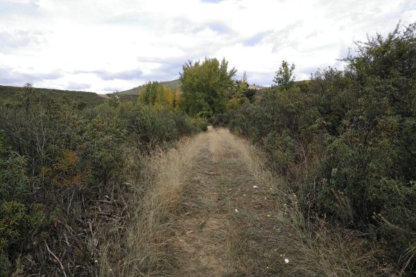 camino-de-valdehierro.-robledillo-2-2048x1532