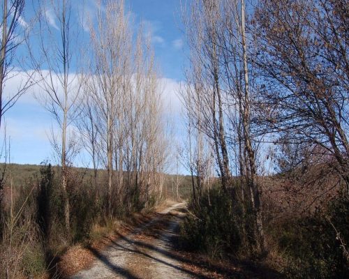 camino-de-valdehierro.-robledillo-2048x1358