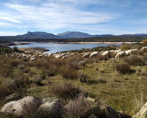 camino-del-molino.-cervera-4-2048x1536