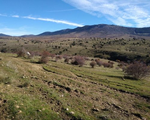 camino-los-descansaderos.-paredes-7-2048x1536