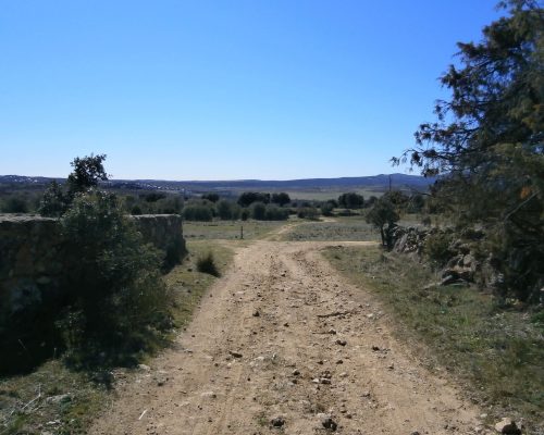 camino piedroso