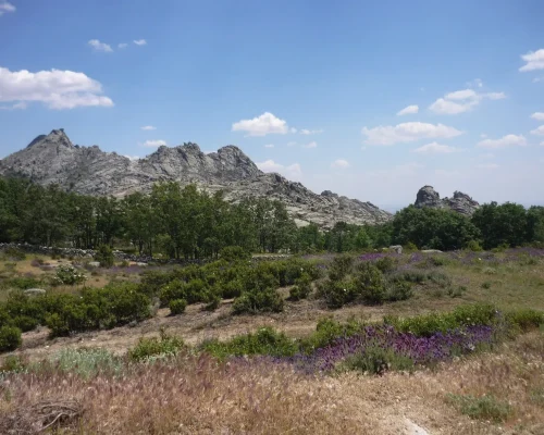 Ruta de medio recorrido en la cañada real segoviana