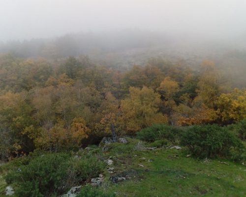 dehesa-bonita-4
