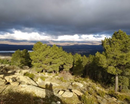 el-picazuelo.-cincovillas-6-2048x1536