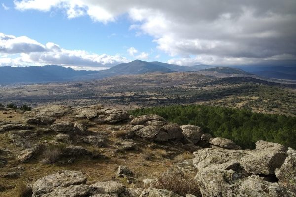 el-picazuelo.-cincovillas-7-2048x1536