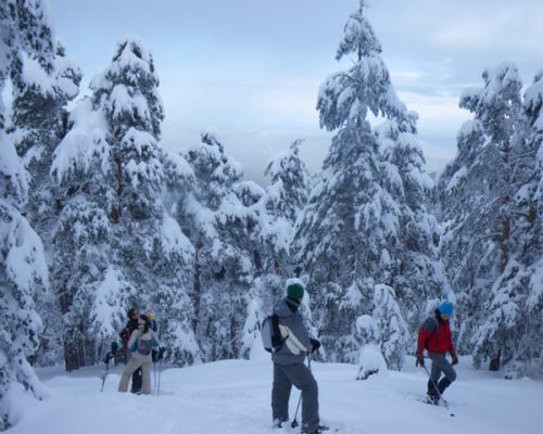 empresas-amadablam-raquetas