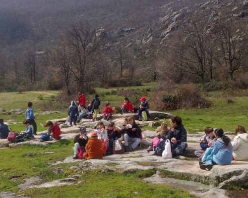 empresas-asociacion-roble-moreno