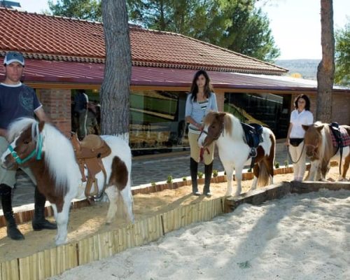 empresas-finca-equilibrium