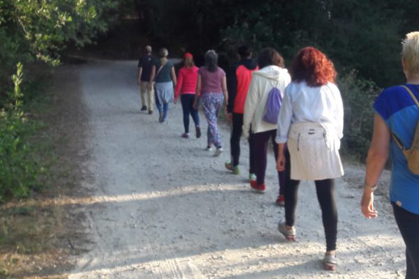 empresas-la-acebeda-creaaccion