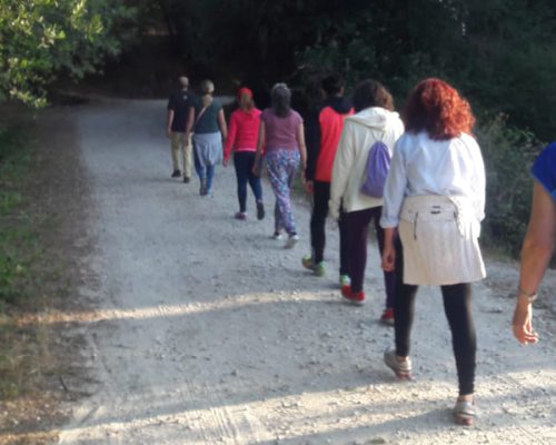 empresas-la-acebeda-creaaccion