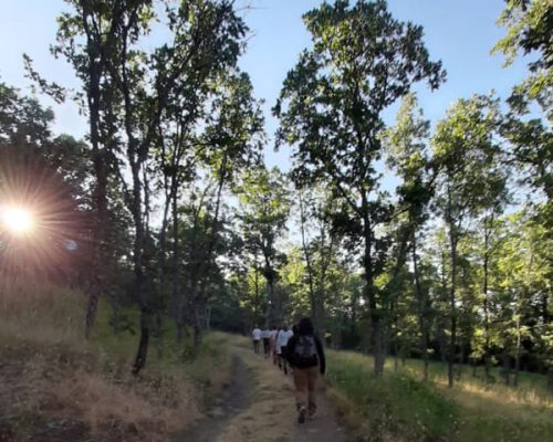 empresas-la-acebeda-creaaccion