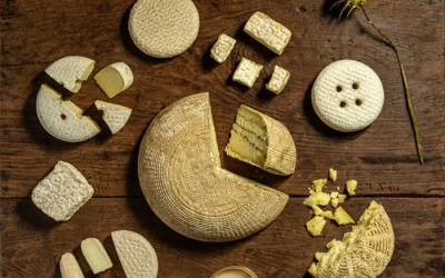 empresas-queseria-jaramera