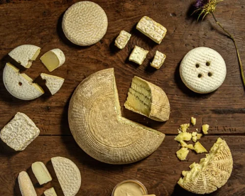 empresas-queseria-jaramera