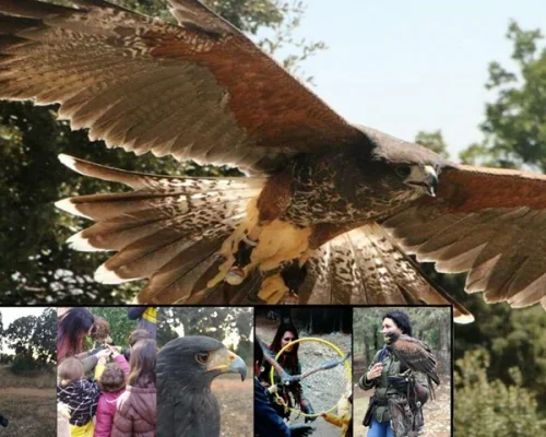 empresas-signatur-talleres-en-familia