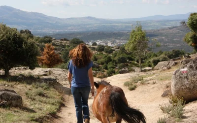 empresas-valdemanco-pony-club-robin-creek-walk-with-me-experiences