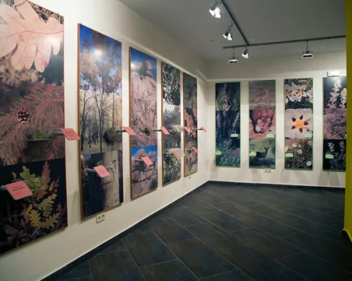 empresas-mancomunidad-embalse-del-atazar