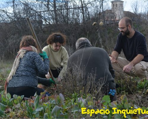 imagen relacionada con la agricultura ecológica en Espacio Inquietudes
