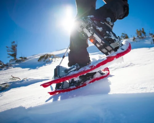 ski