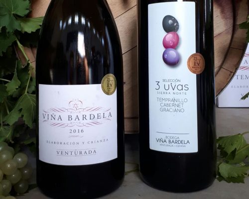 Vinos expuestos