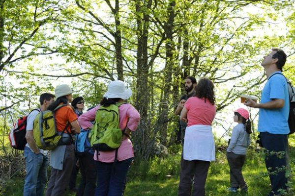 Observación al aire