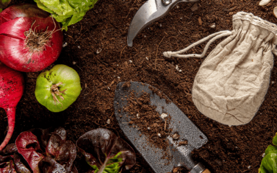 herramientas de recolección