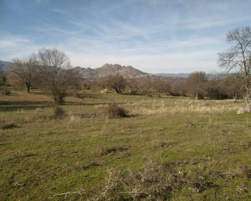 la-dehesa-de-el-berrueco-3-2048x1536