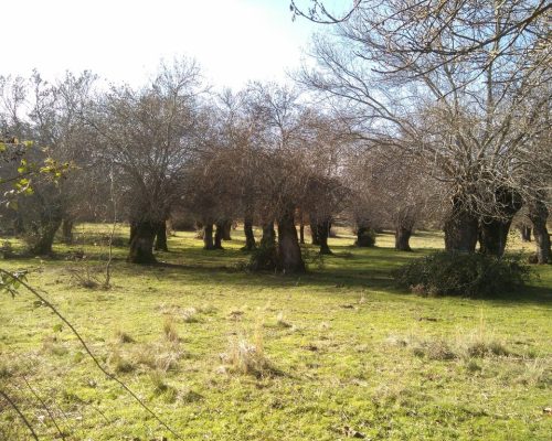 la-dehesa-de-el-berrueco-5-2048x1536