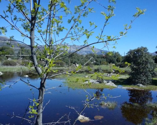 lagunas-parque-navalafuente