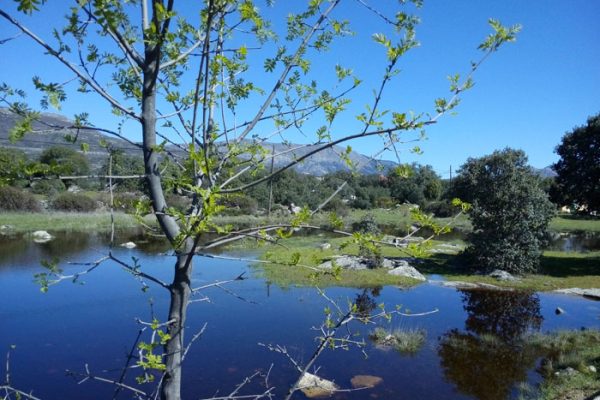 lagunas-parque-navalafuente