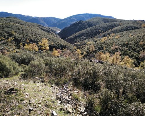 los-prados.-cervera-5-2048x1532