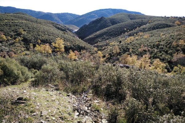 los-prados.-cervera-5-2048x1532