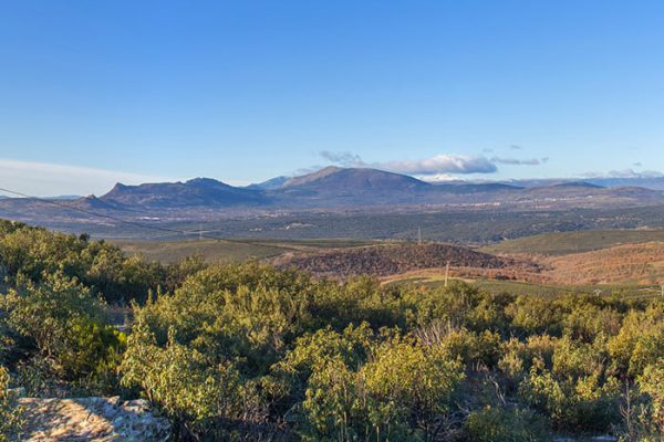 Miradores en la sierra norte de Madrid