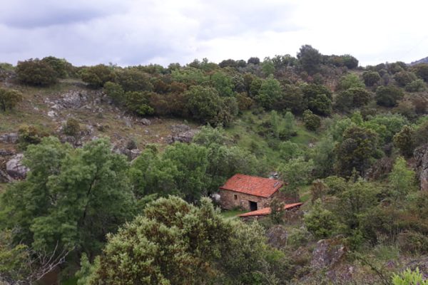 molino-paredes