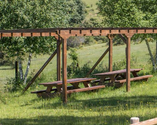 montejo-fuente-collado