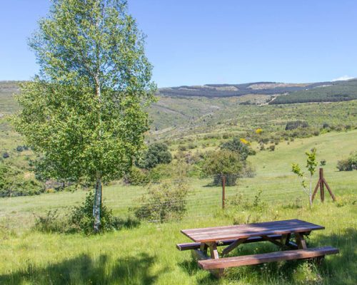 montejo-fuente-collado