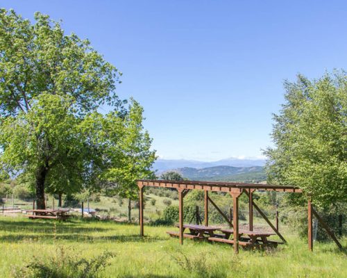 montejo-fuente-collado