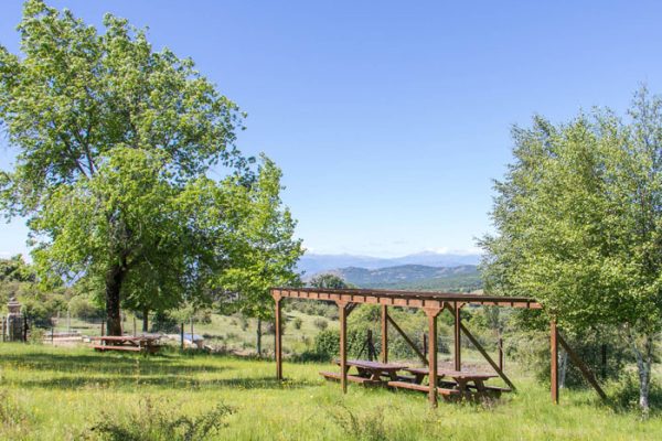 montejo-fuente-collado