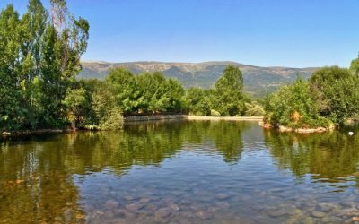 xr:d:DAFLjCYpjDc:175,j:6749038053767069525,t:23062010