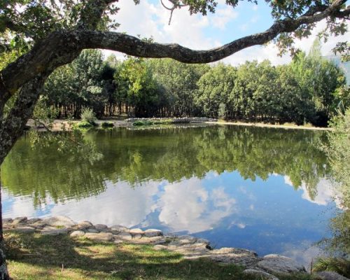 xr:d:DAFLjCYpjDc:175,j:6749038053767069525,t:23062010