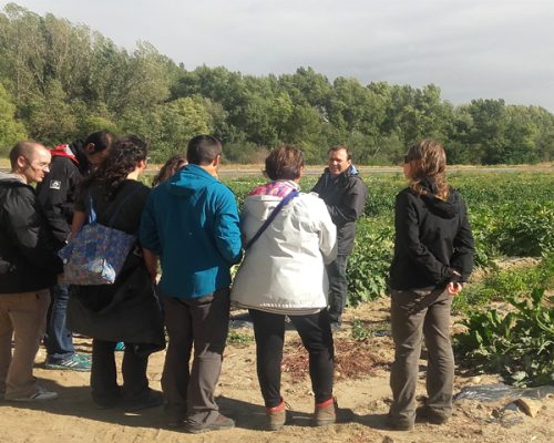 Grupo personas huerto