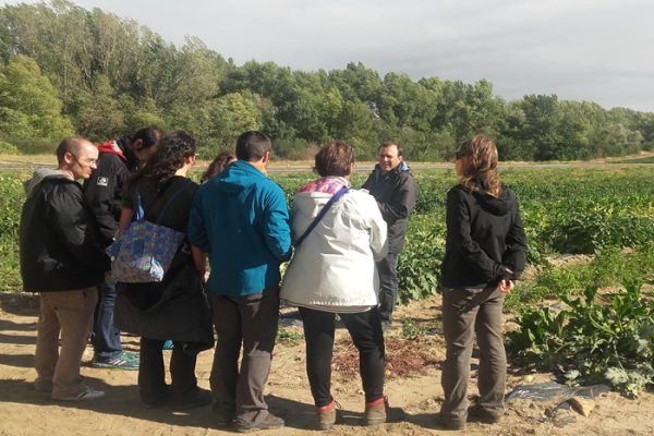 Grupo personas huerto