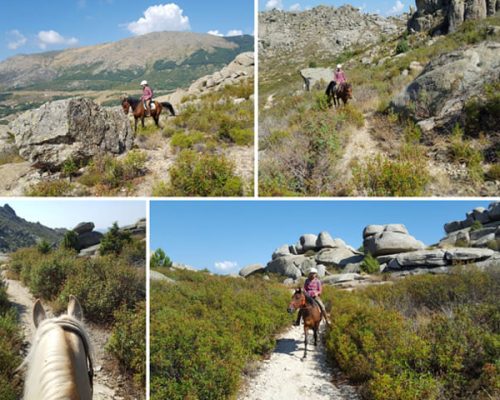 ruta a caballo por la sierra de la Cabrera con el centro ecuestre albero