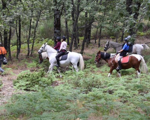 personas a caballo en la cuadra Las Beceas