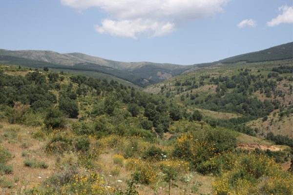 Senda ornitológica rodeada de naturaleza