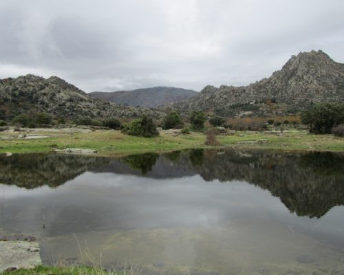 Vista de un monte al fondo en la Sierra de la Cabrera.