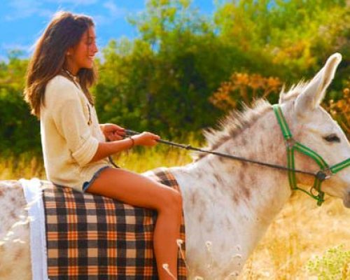 Persona montada sobre un burro en un entorno rural en El Capriolo