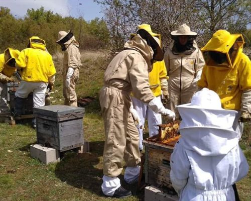 persona participando en la experiencia de apicultor por un día en El Jabardo