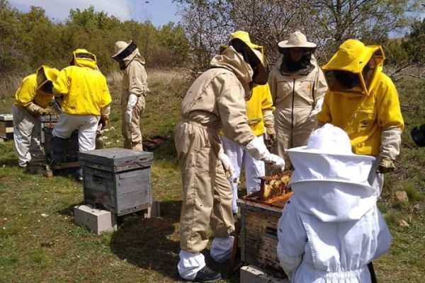 persona participando en la experiencia de apicultor por un día en El Jabardo