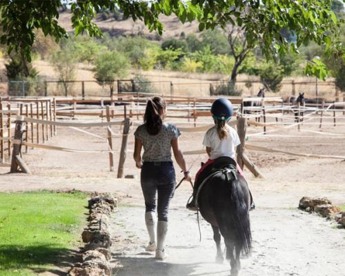 paseo en pony en la finca Equilibrium