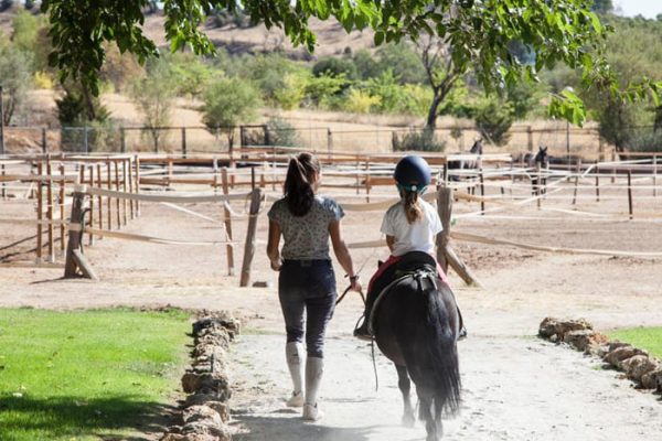 paseo en pony en la finca Equilibrium